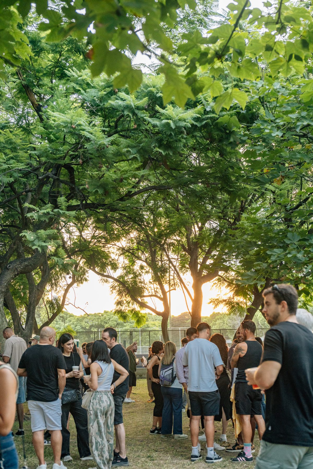 El sol se pone entre los árboles mientras el público charla